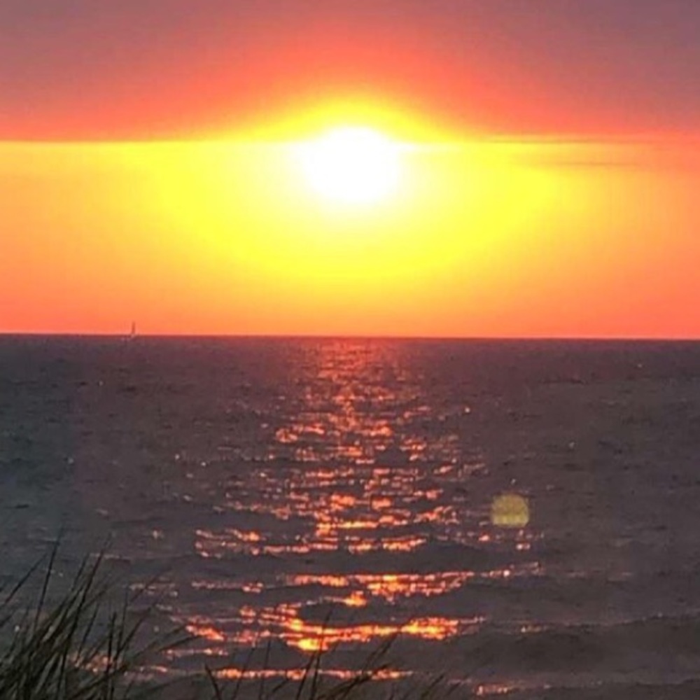 Meet your Posher, Phia